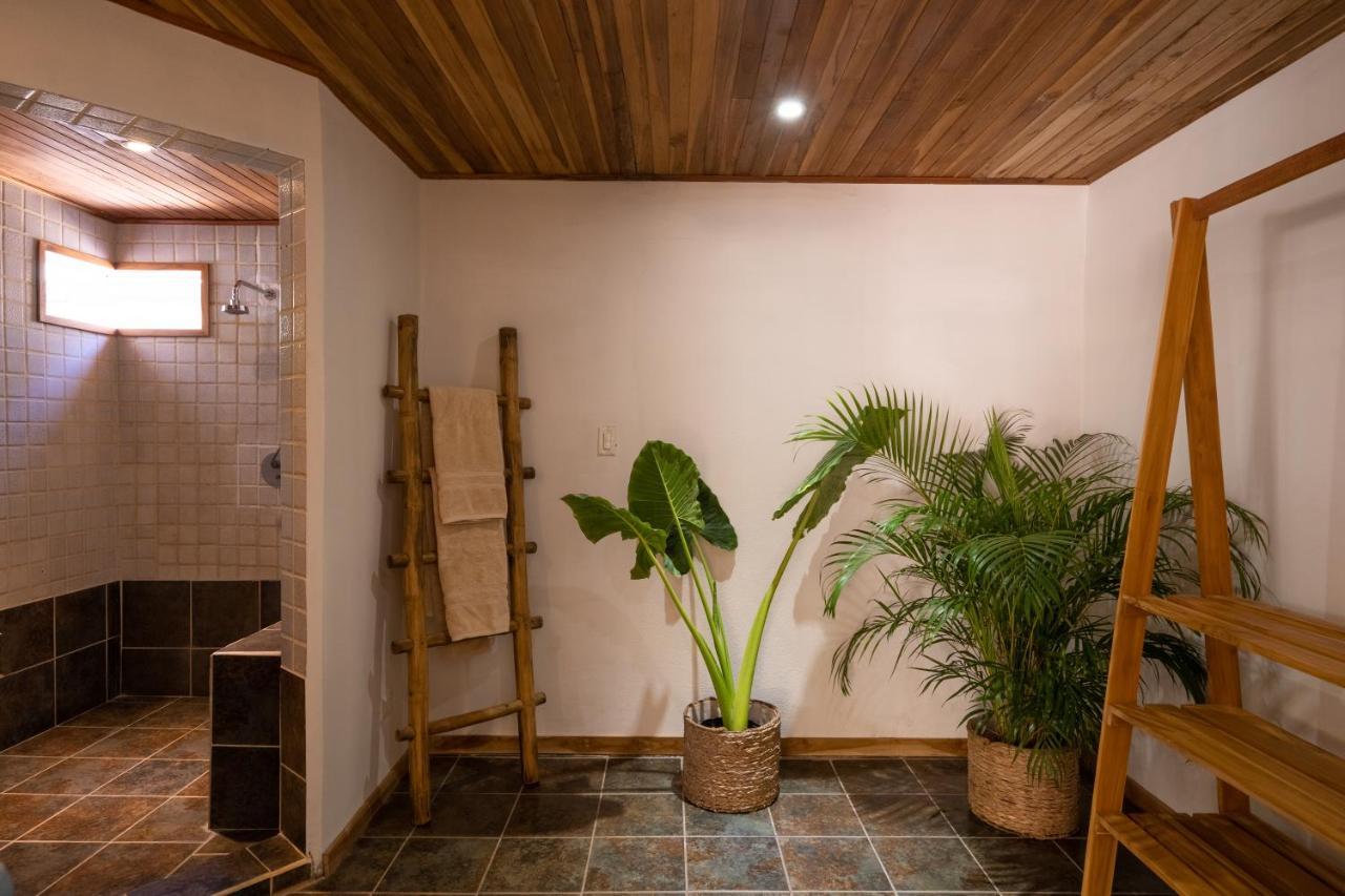 מלון פלאיה אביאנאס Dream Surf House Avellana מראה חיצוני תמונה